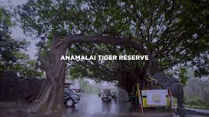 Anamalai Tiger Reserve