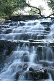 Bear Shola Falls
