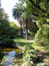 Botanical Garden
