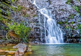 Monkey Falls