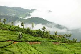 Ooty