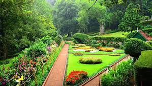Sim's Park